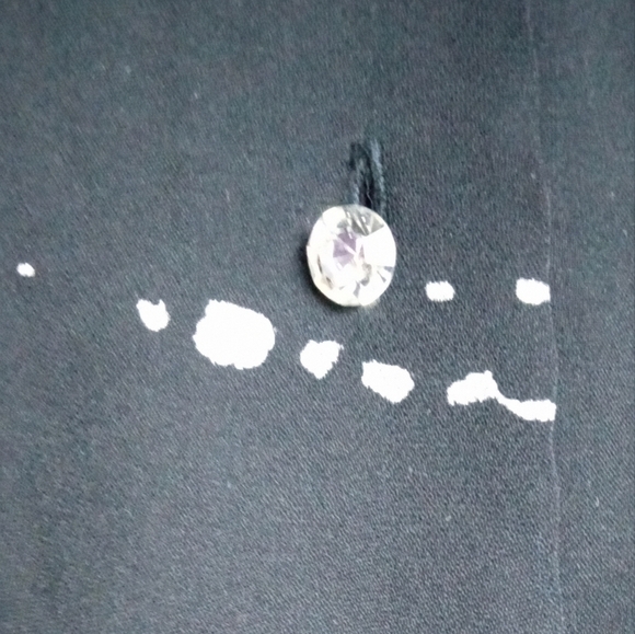 Rena Rowan Black w/White Detail Semi-Sheer 100% Silk Button Up Shirt size 8P - Picture 3 of 7